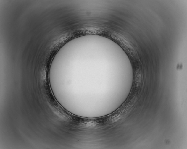 X0000098130310200805011327