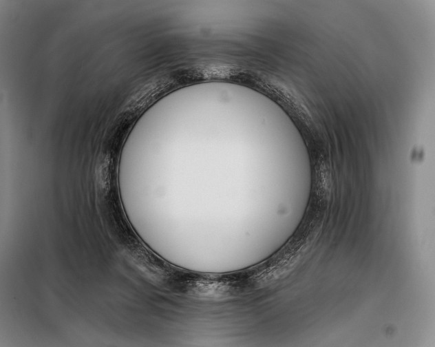 X0000098130311200805011327