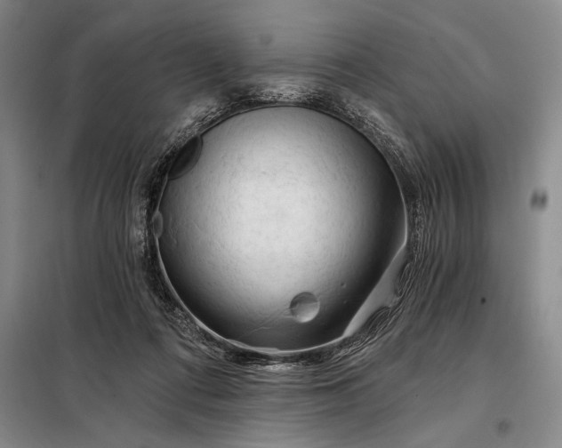 X0000098130312200805011327