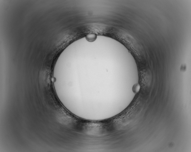 X0000098130313200805011327