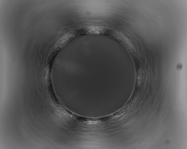 X0000098130314200805011327