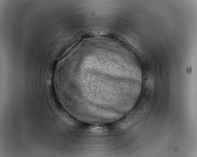 X0000098130315200805011327