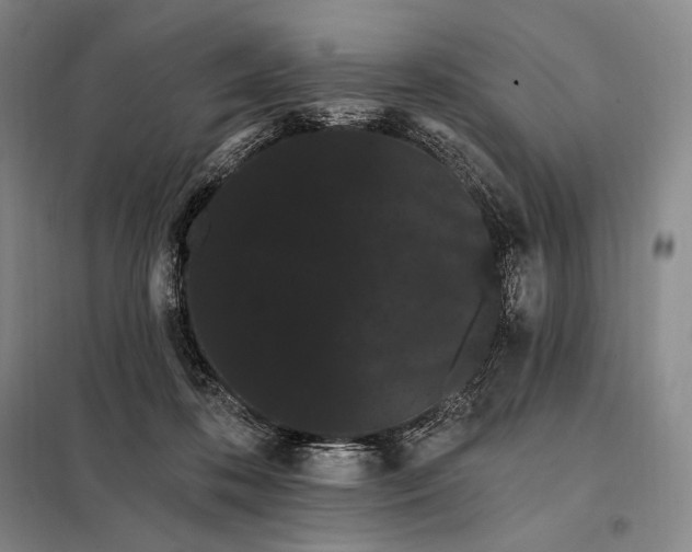 X0000098130316200805011327