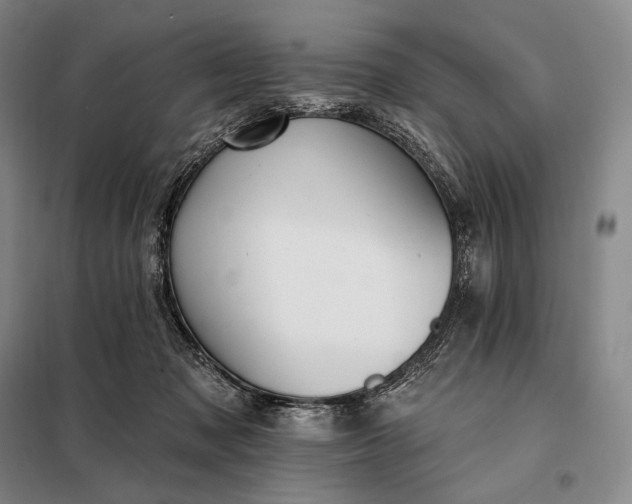 X0000098130317200805011327