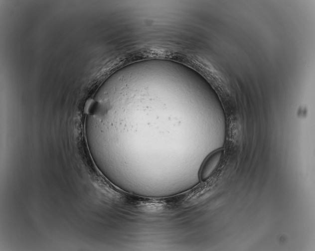 X0000098130318200805011327