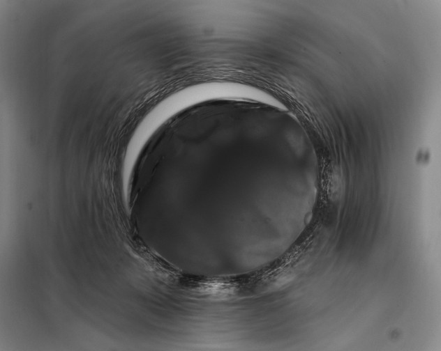 X0000098130319200805011327