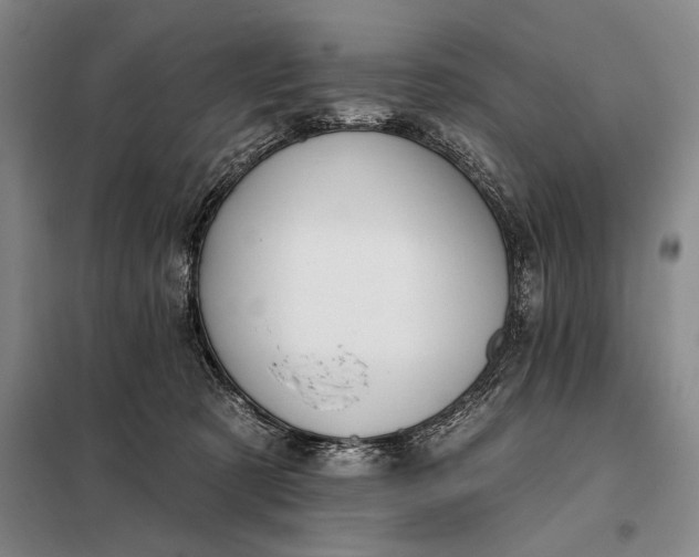 X0000098130321200805011327