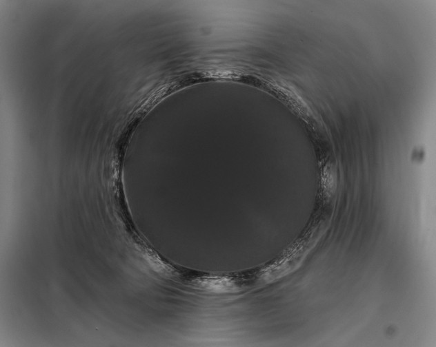 X0000098130322200805011327