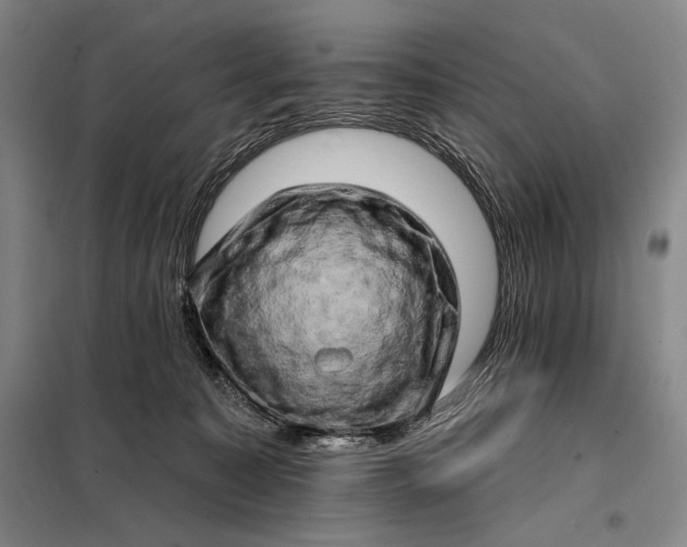 X0000098130323200805011327