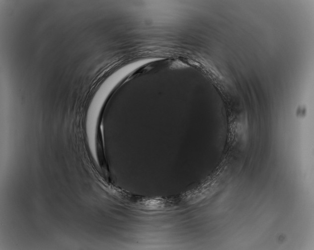 X0000098130325200805011326