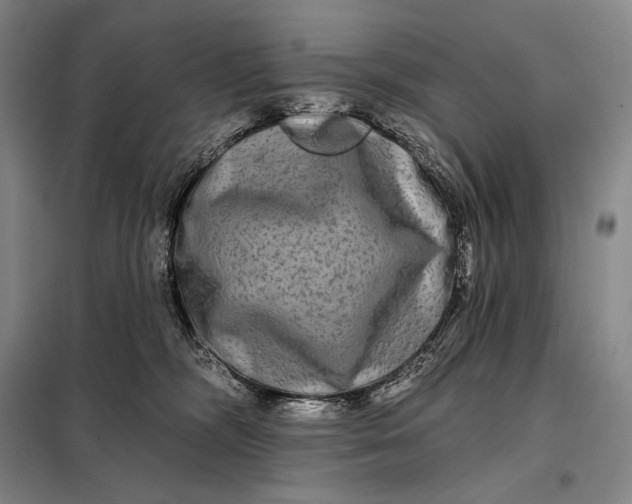 X0000098130326200805011326