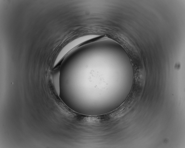 X0000098130327200805011326