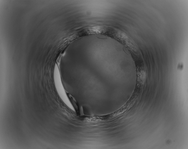 X0000098130331200805011326