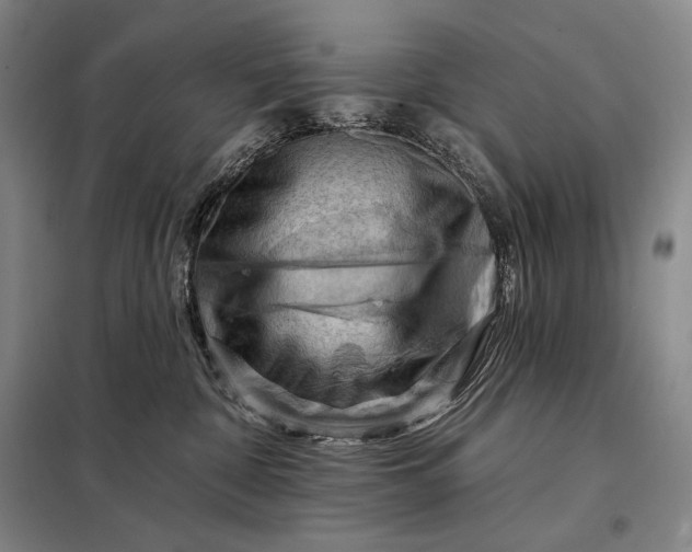 X0000098130332200805011326