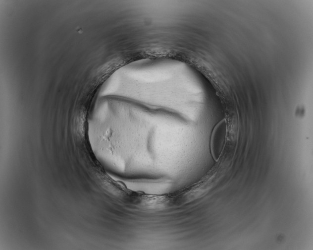 X0000098130334200805011326