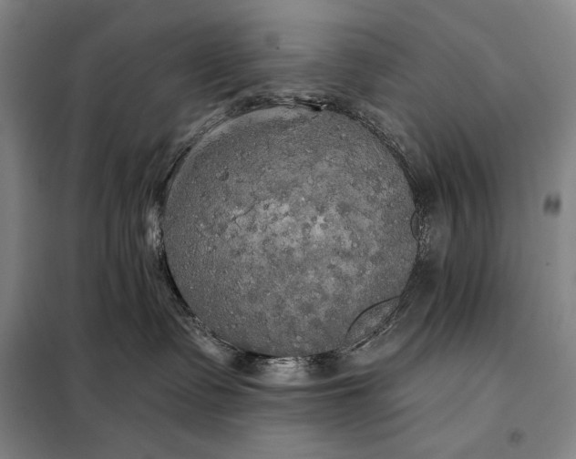 X0000098130335200805011326