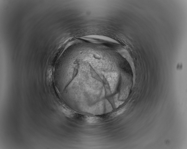 X0000098130336200805011326