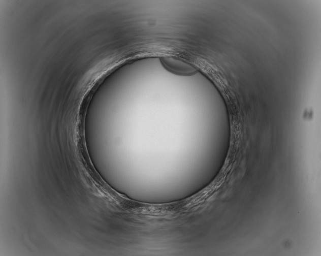 X0000098130338200805011326