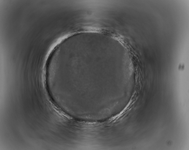 X0000098130342200805011326