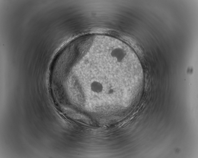 X0000098130346200805011326