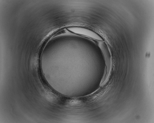 X0000098130348200805011326
