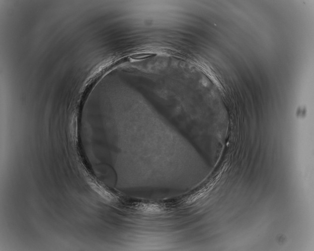 X0000098130349200805011326