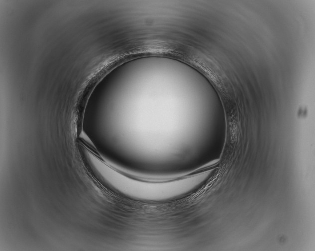 X0000098130350200805011326
