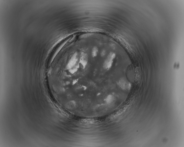 X0000098130351200805011326