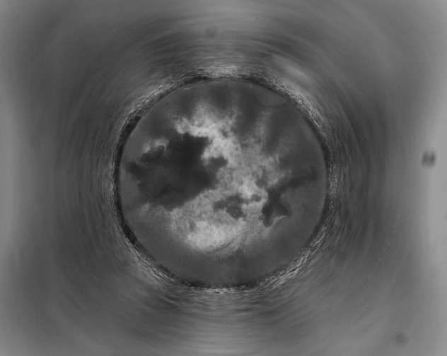 X0000098130353200805011326