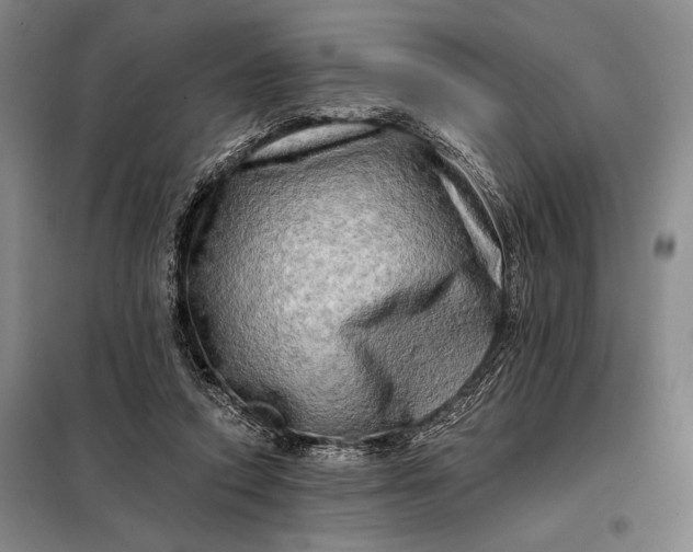 X0000098130354200805011326