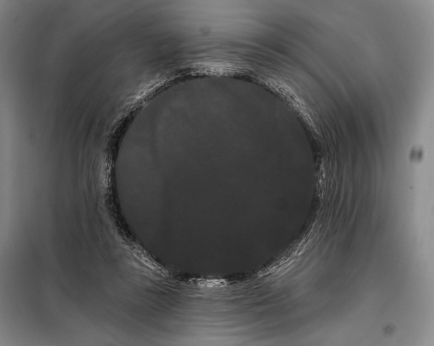 X0000098130355200805011326