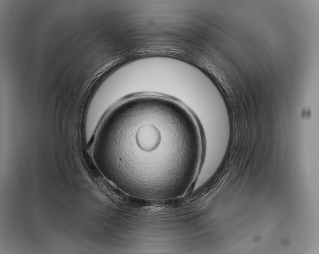 X0000098130356200805011326