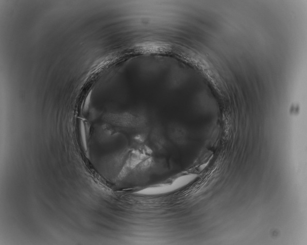 X0000098130357200805011326