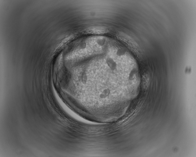X0000098130358200805011326