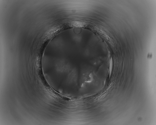 X0000098130359200805011326