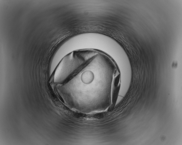 X0000098130360200805011326