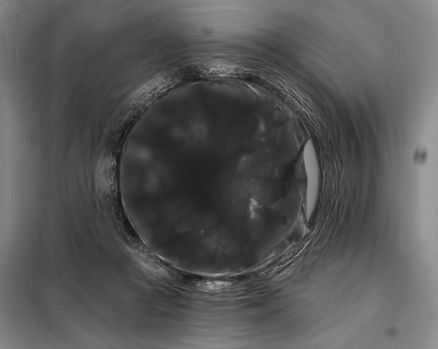 X0000098130361200805011326