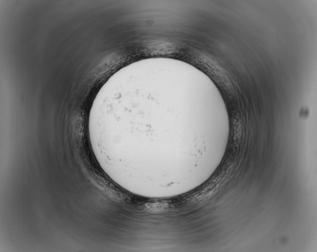 X0000098130362200805011326