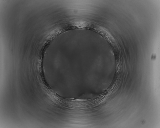 X0000098130365200805011326