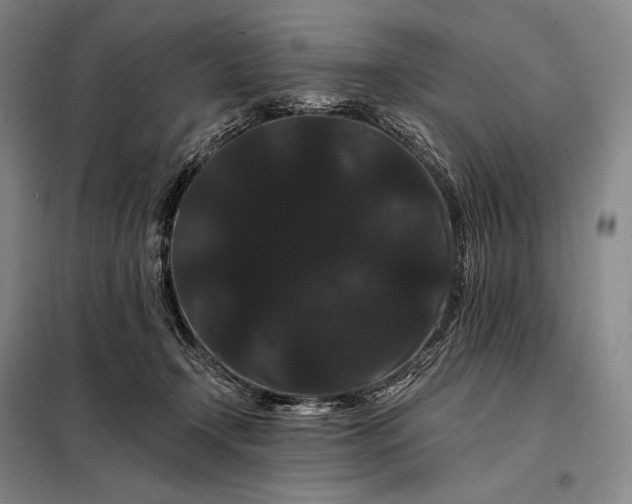 X0000098130366200805011326
