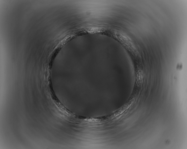 X0000098130367200805011326