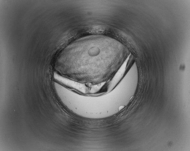 X0000098130370200805011326