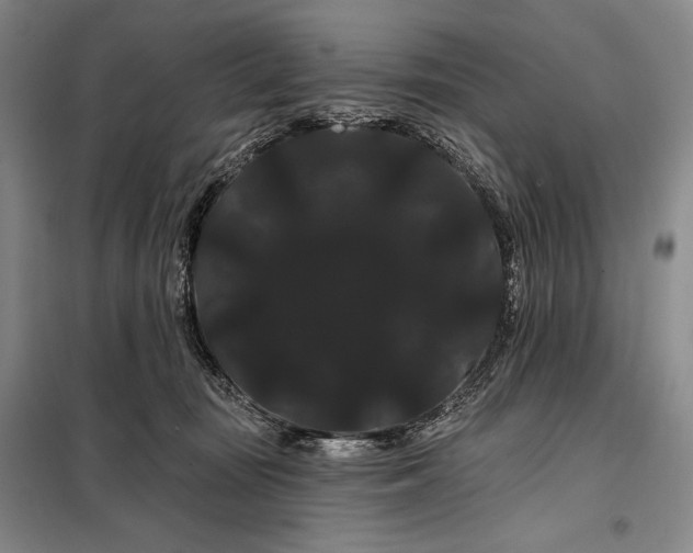 X0000098130371200805011326