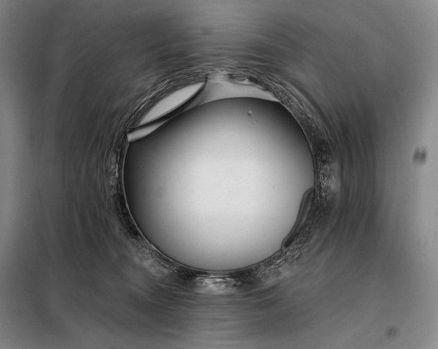X0000098130372200805011326
