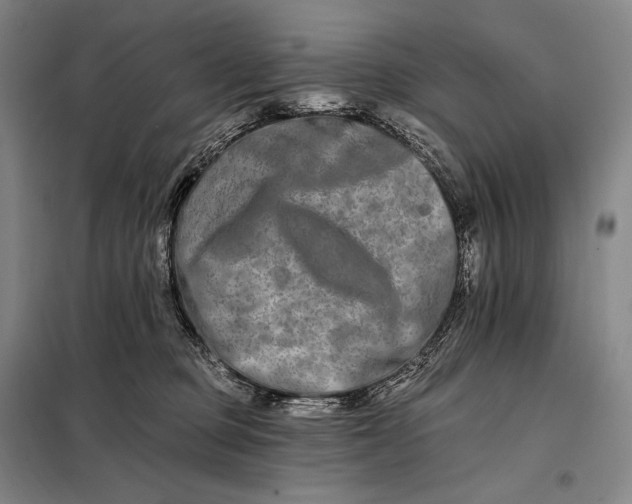 X0000098130373200805011326