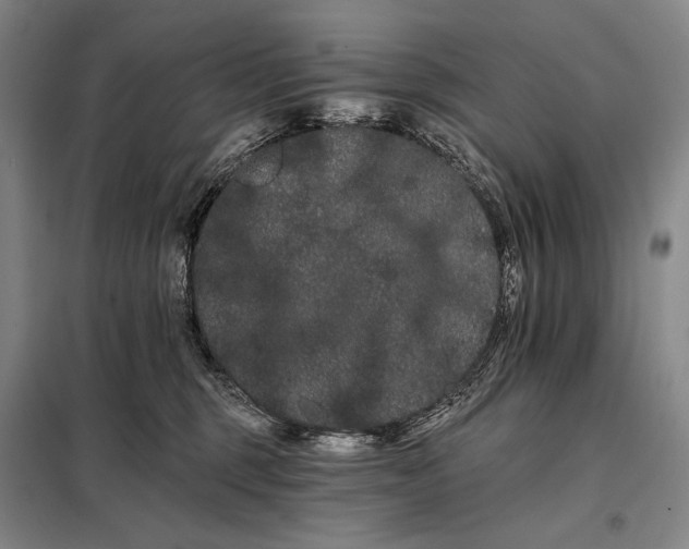 X0000098130375200805011326