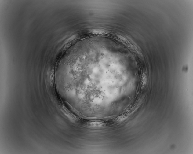 X0000098130376200805011326