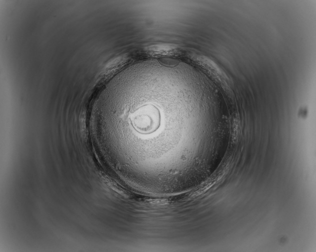 X0000098130377200805011326