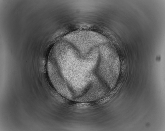 X0000098130378200805011326