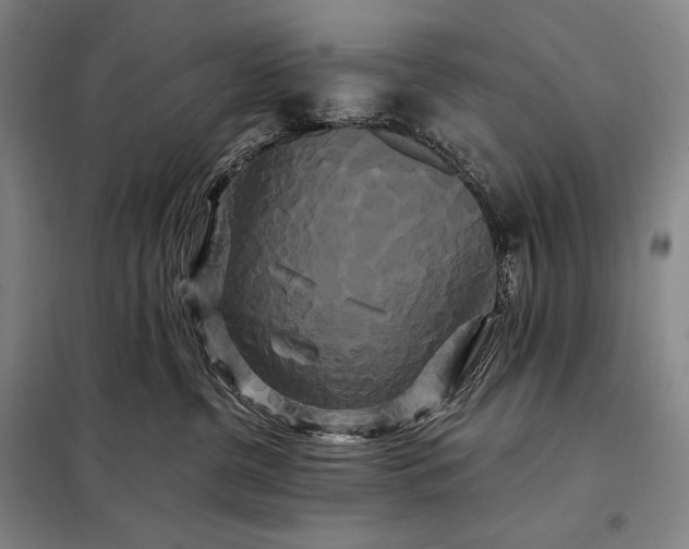X0000098130380200805011326